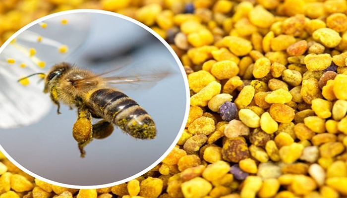 گرده گل 400 گرمی