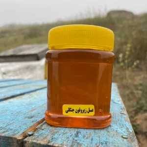 عسل جنگلی زیرفون (نیم کیلویی)