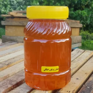 عسل جنگلی زیرفون (یک کیلویی)