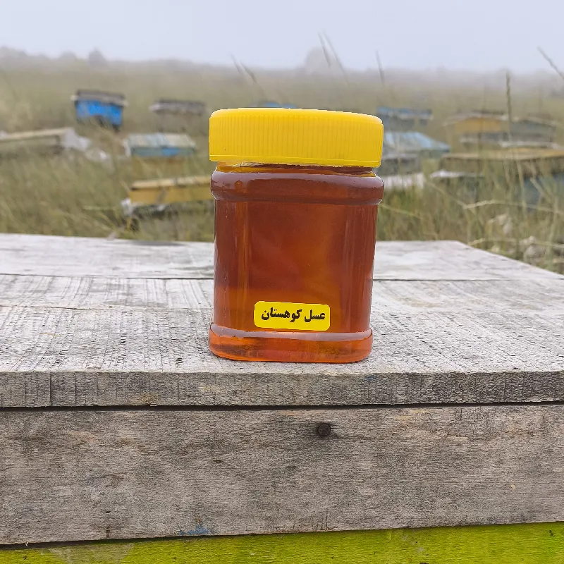 عسل کوهستان نیم کیلویی