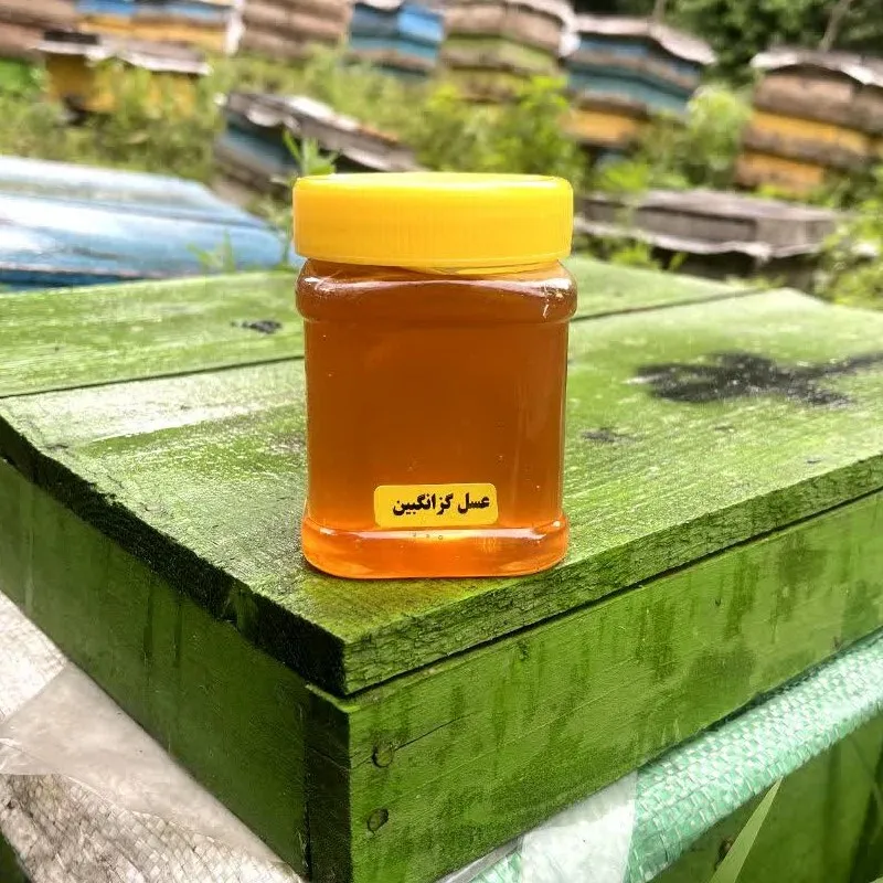 عسل گزانگبین نیم کیلویی