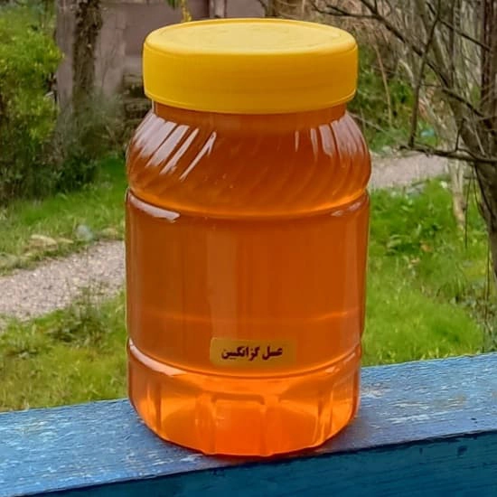 عسل گزانگبین