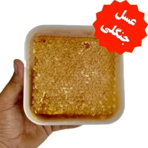 عسل باموم زیرفون جنگلی (یک کیلویی)