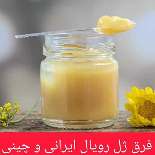 فرق ژل رویال ایرانی و چینی