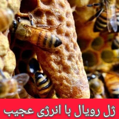 معجون ژل رویال انرژی زای طبیعی